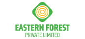 eastern forest